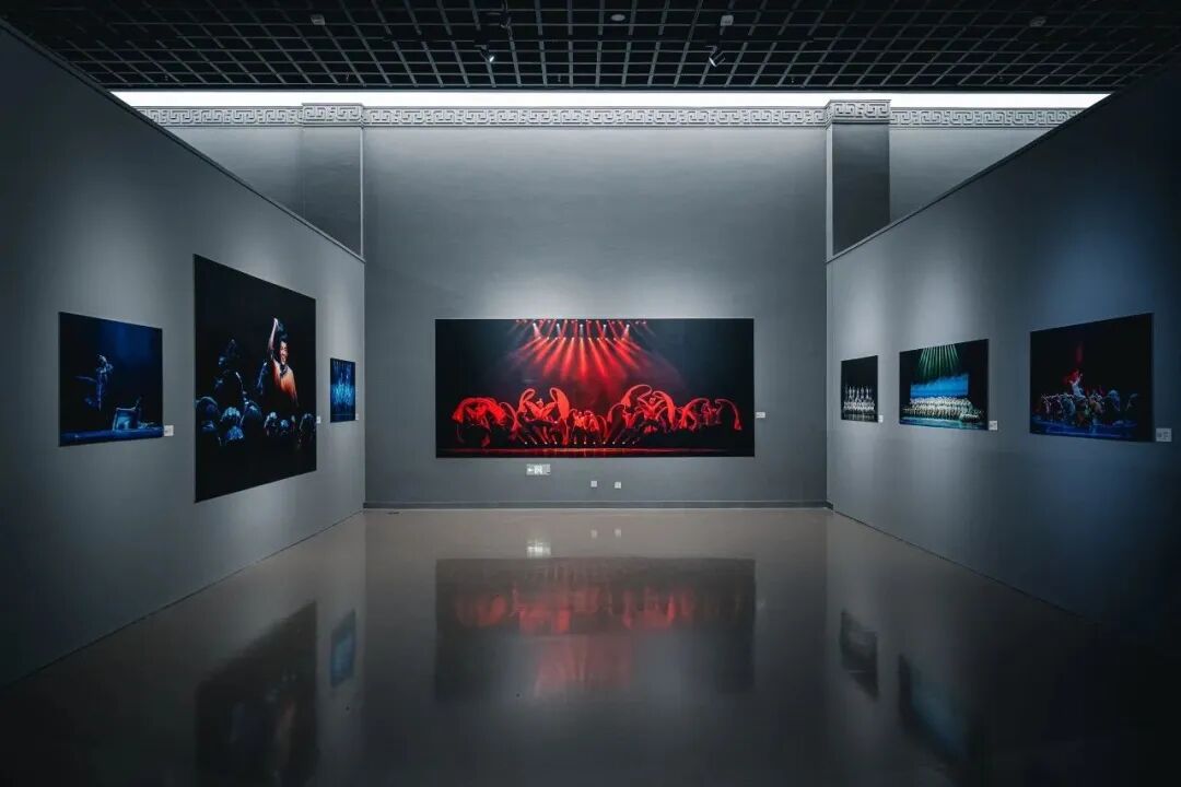 内蒙古舞蹈家协会 | 2025，舞蹈记忆 第30张