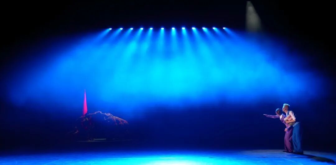 内蒙古舞蹈家协会 | 2025，舞蹈记忆 第16张