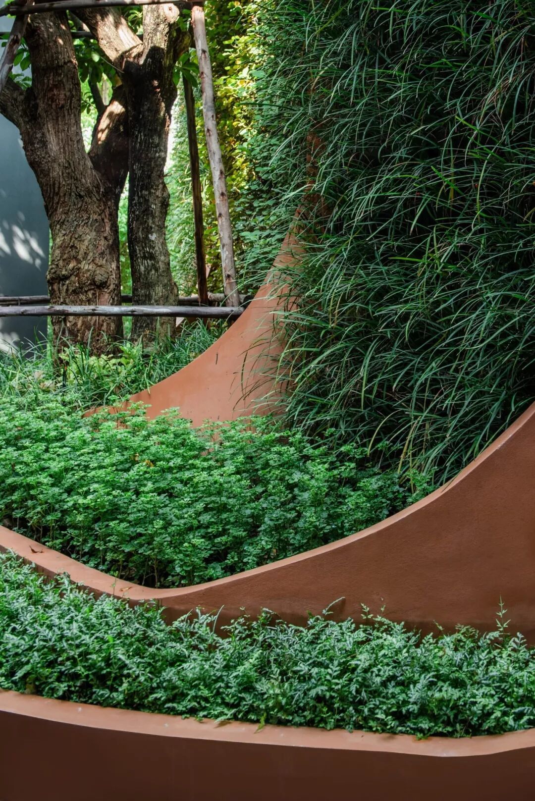 小小一方种植池，主角配角两相宜