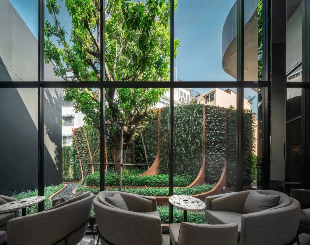 小小一方种植池，主角配角两相宜