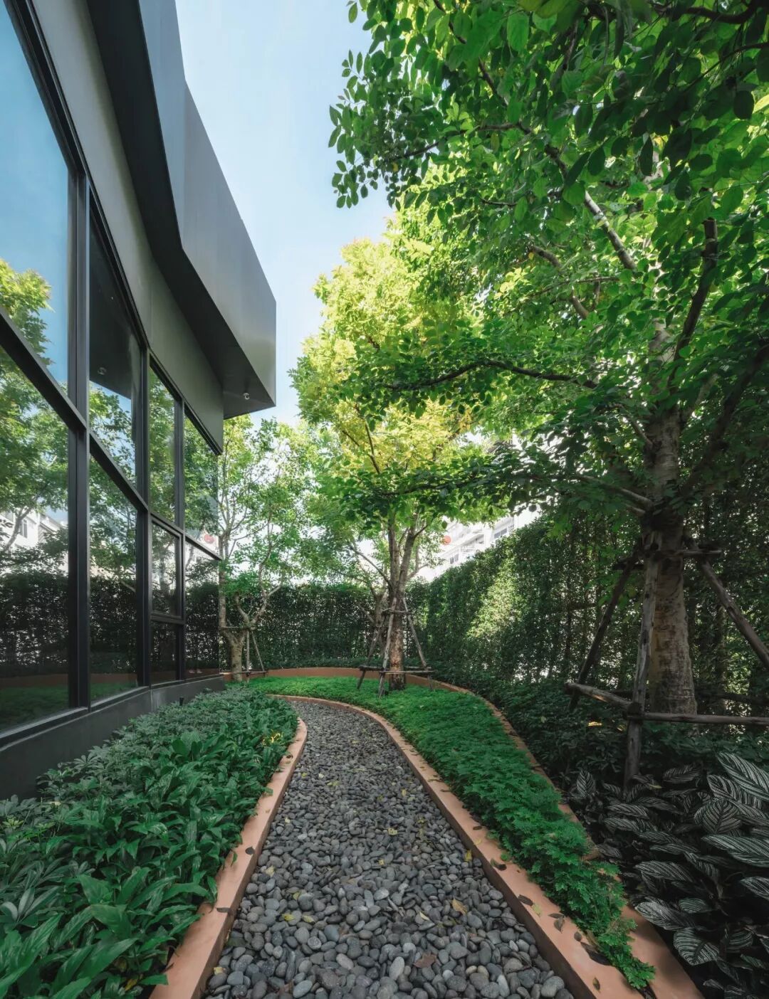 小小一方种植池，主角配角两相宜