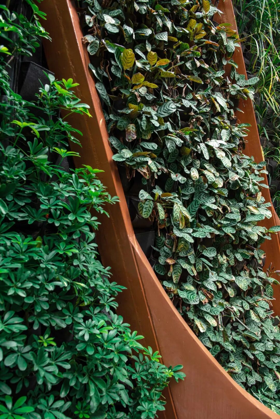 小小一方种植池，主角配角两相宜