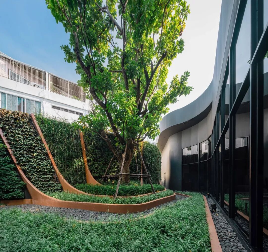 小小一方种植池，主角配角两相宜