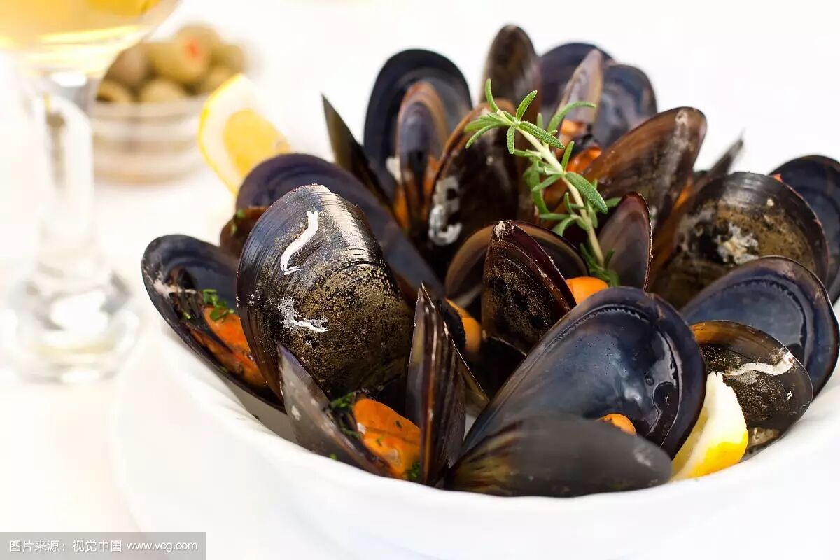 海错图贻贝淡菜青口具是夫人