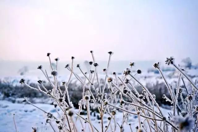 冬天沒看過雪，就等於白過了！ 旅遊 第2張