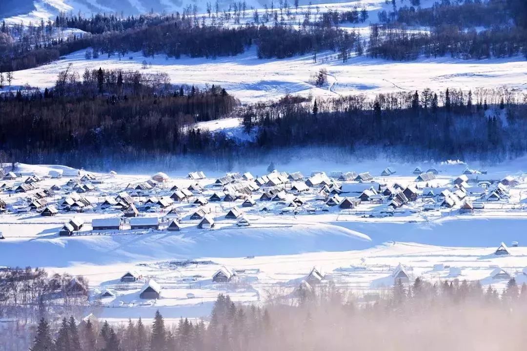 冬天沒看過雪，就等於白過了！ 旅遊 第43張