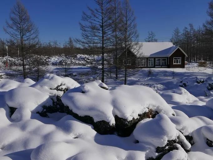 冬天沒看過雪，就等於白過了！ 旅遊 第5張