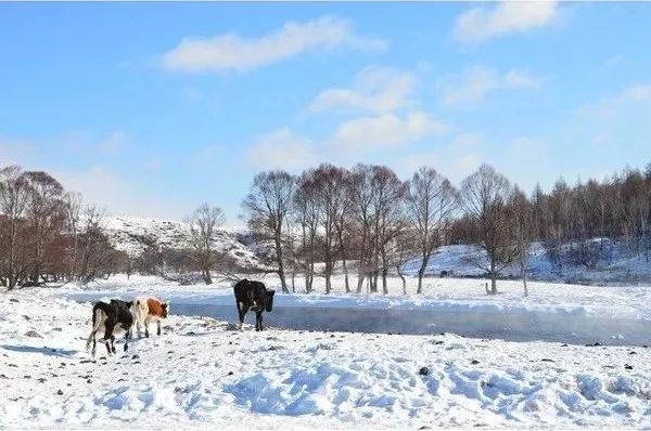 冬天沒看過雪，就等於白過了！ 旅遊 第7張