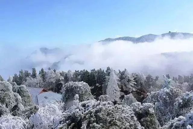 冬天沒看過雪，就等於白過了！ 旅遊 第22張