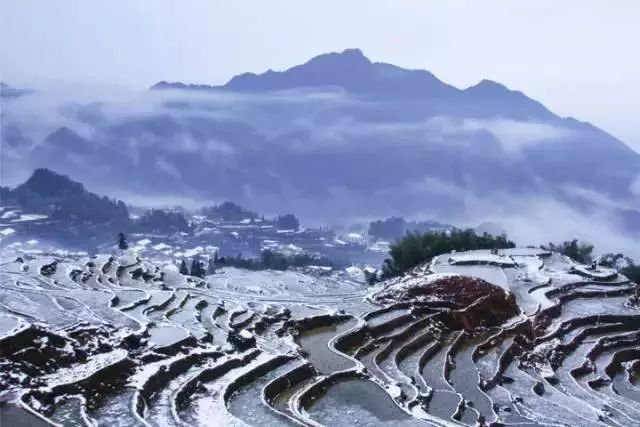 冬天沒看過雪，就等於白過了！ 旅遊 第31張