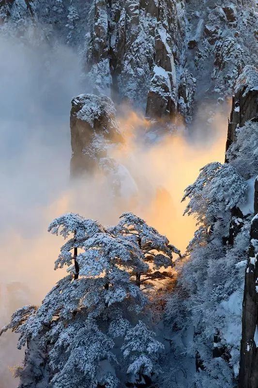 冬天沒看過雪，就等於白過了！ 旅遊 第17張