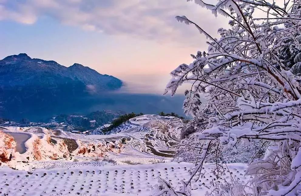 冬天沒看過雪，就等於白過了！ 旅遊 第29張