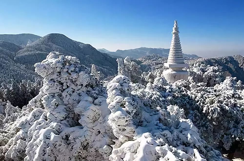 冬天沒看過雪，就等於白過了！ 旅遊 第26張