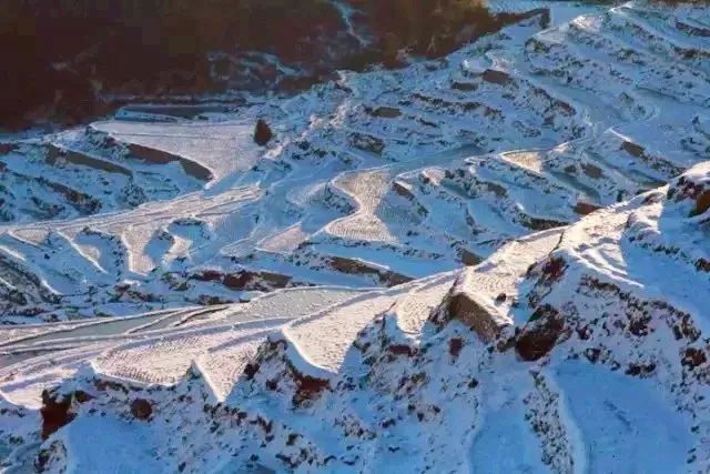 冬天沒看過雪，就等於白過了！ 旅遊 第30張