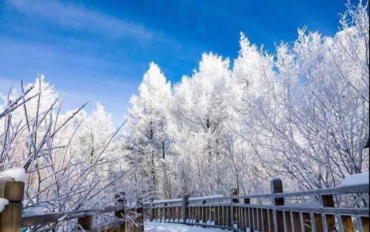 冬天沒看過雪，就等於白過了！ 旅遊 第6張