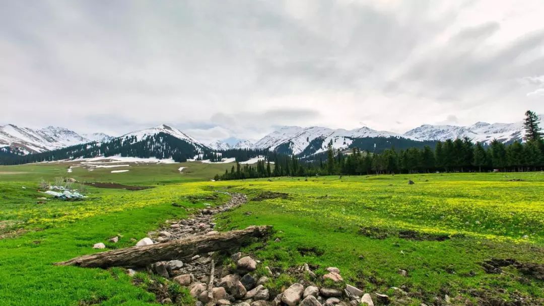 中国8大国家公园，让全世界都惊艳！