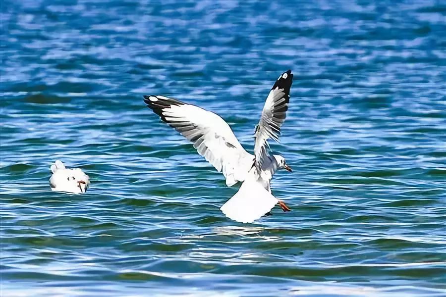 中国8大国家公园，让全世界都惊艳！