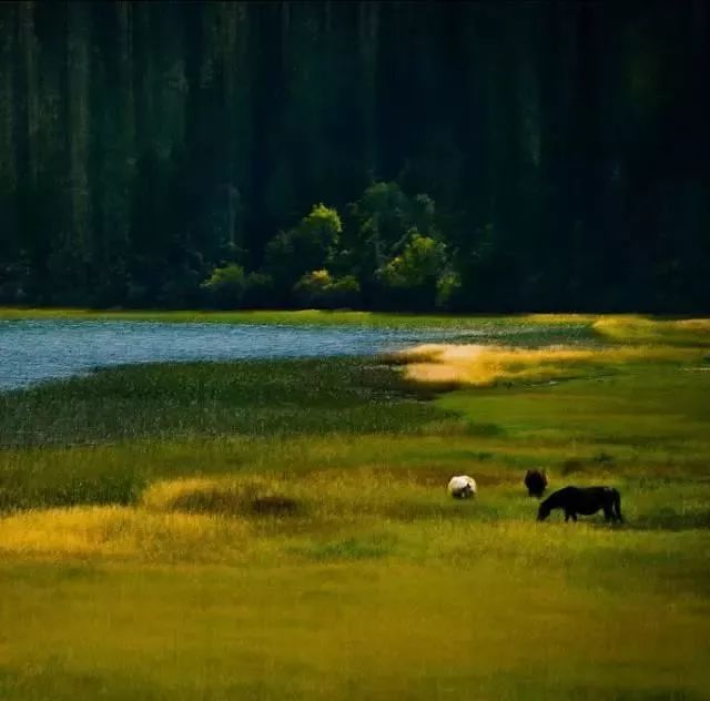 中国8大国家公园，让全世界都惊艳！