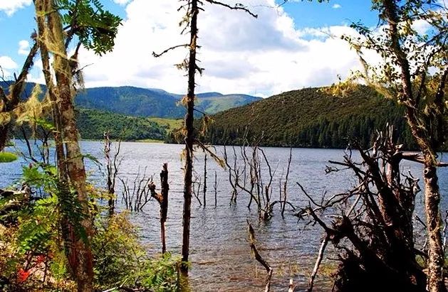 中国8大国家公园，让全世界都惊艳！