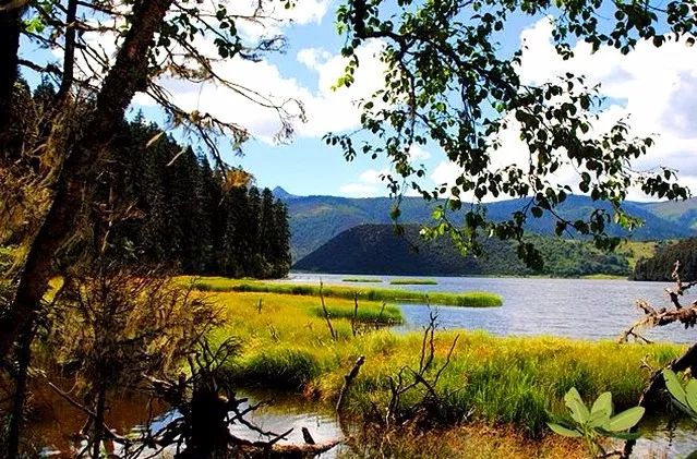 中国8大国家公园，让全世界都惊艳！