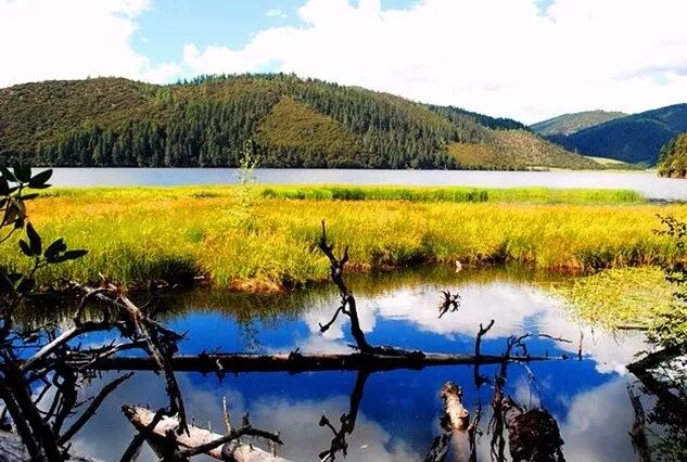 中国8大国家公园，让全世界都惊艳！