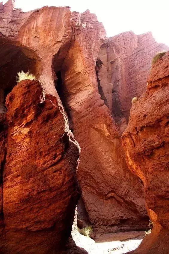 中国8大国家公园，让全世界都惊艳！