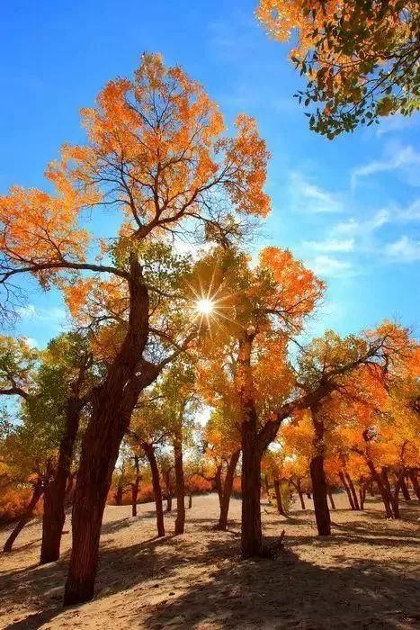 中国8大国家公园，让全世界都惊艳！