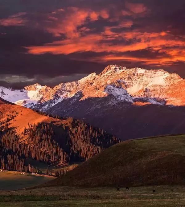 中国8大国家公园，让全世界都惊艳！