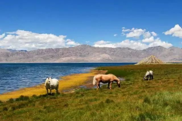 中国8大国家公园，让全世界都惊艳！