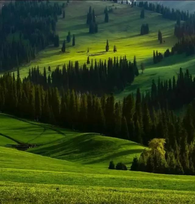 中国8大国家公园，让全世界都惊艳！