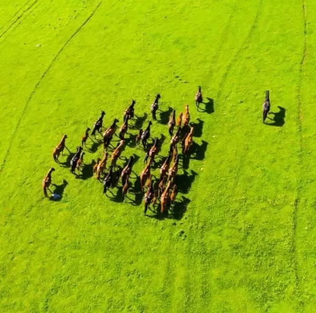 中国8大国家公园，让全世界都惊艳！