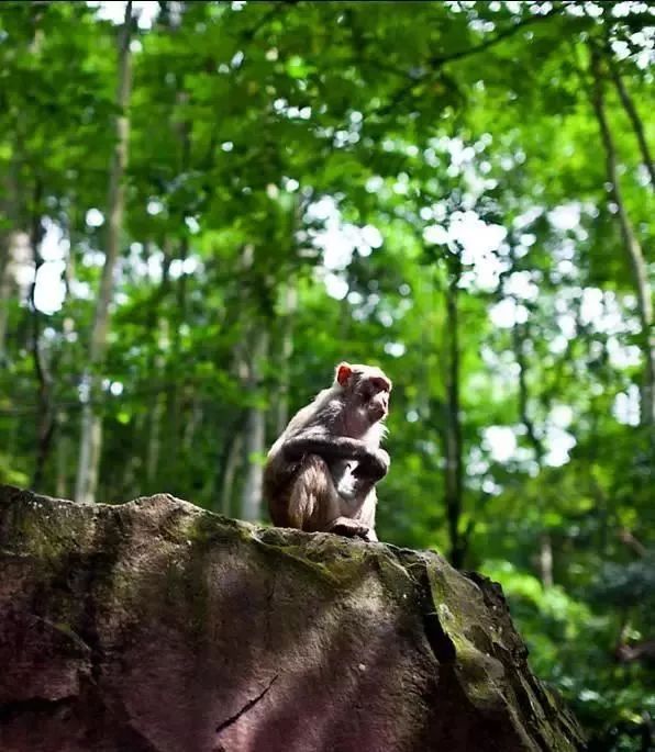 中国8大国家公园，让全世界都惊艳！