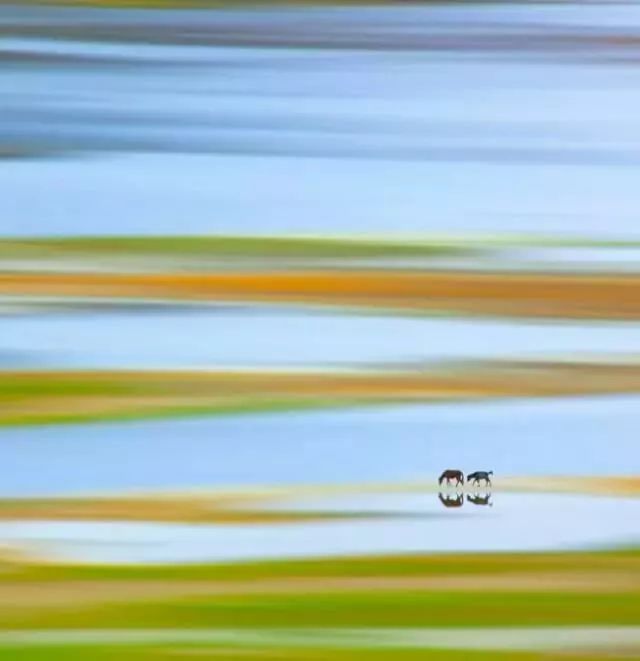 中国8大国家公园，让全世界都惊艳！