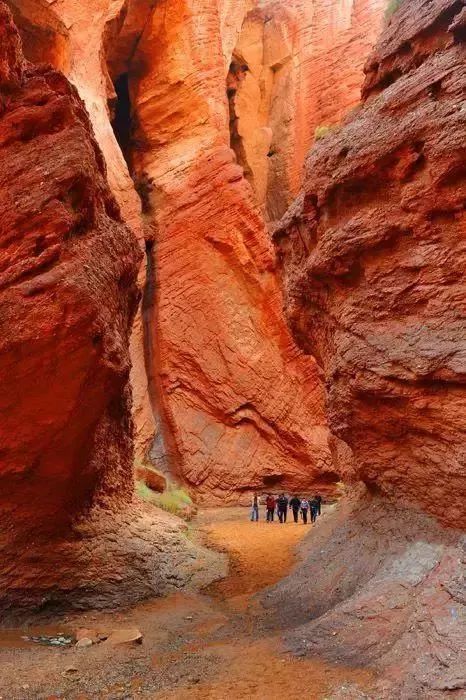 中国8大国家公园，让全世界都惊艳！