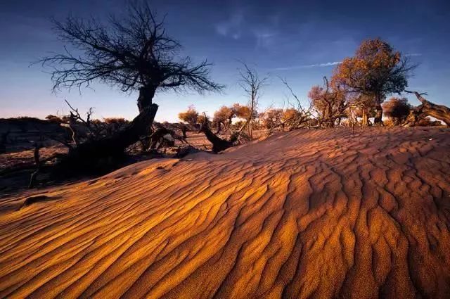 中国8大国家公园，让全世界都惊艳！