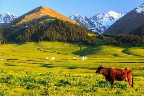 中国8大国家公园，让全世界都惊艳！