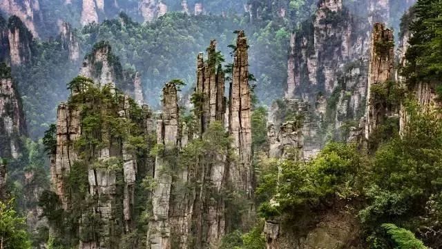 中国8大国家公园，让全世界都惊艳！