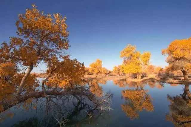 中国8大国家公园，让全世界都惊艳！