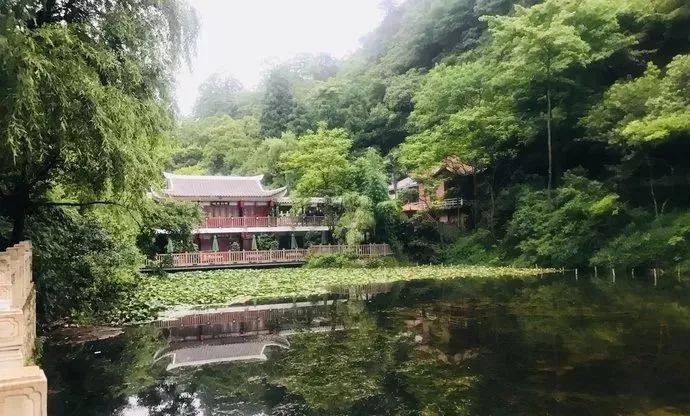 這個八月，請把我扔到黔東南 旅遊 第9張