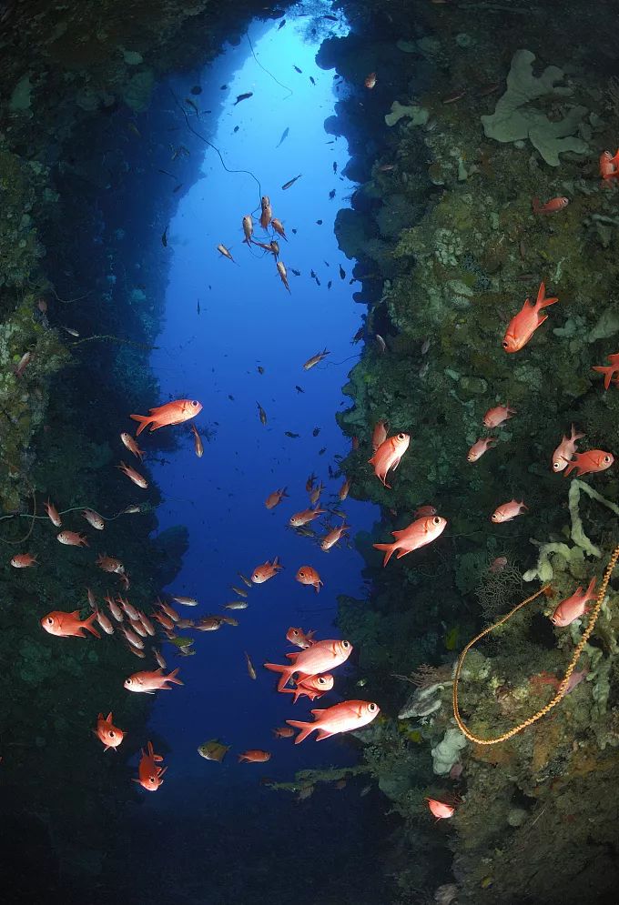 被上帝打翻的「水族館」，全球公認最美潛水聖地，不但免簽還有直航！ 旅行 第3張