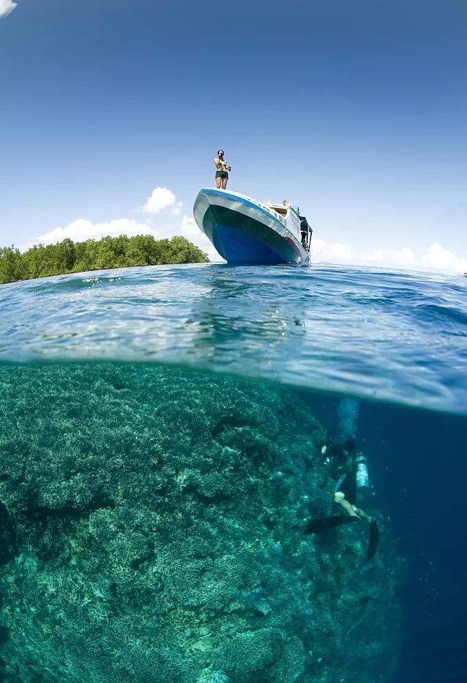 被上帝打翻的「水族館」，全球公認最美潛水聖地，不但免簽還有直航！ 旅行 第14張