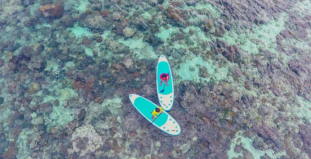 被上帝打翻的「水族館」，全球公認最美潛水聖地，不但免簽還有直航！ 旅行 第2張