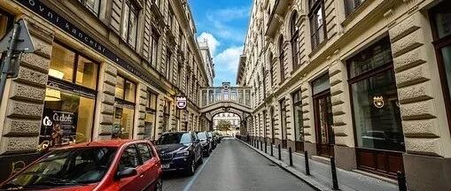 像蚂蚁一样工作，像蝴蝶一样生活