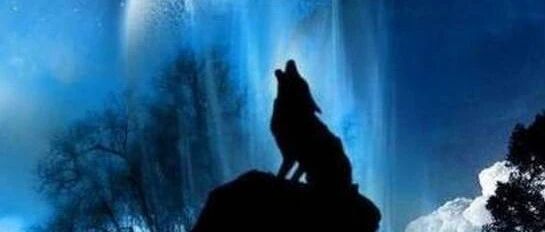 中国最赚钱的一种人：“谋局者”