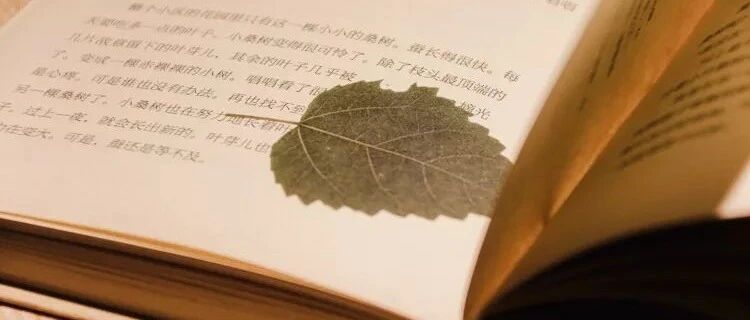 让领导舍不得你（深度好文！）