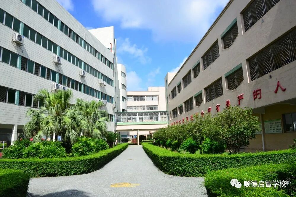 佛山市顺德区启智学校招聘信息