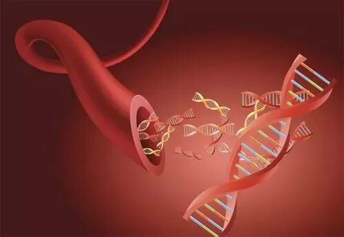 中医专家说“三七堪比手术刀”，吃三七真有这么神奇吗？