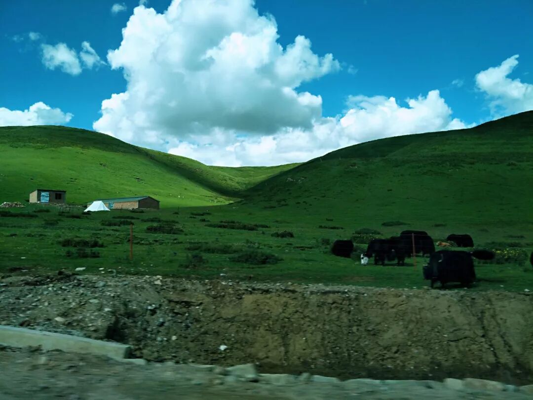 瓜瓜队之行走在大西北