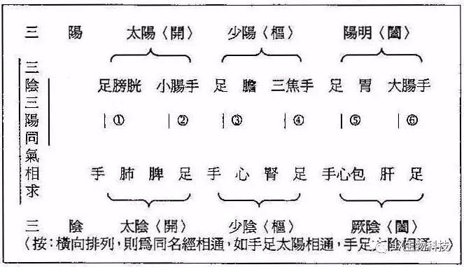 内乡建福堂：脏腑别通的论证与应用