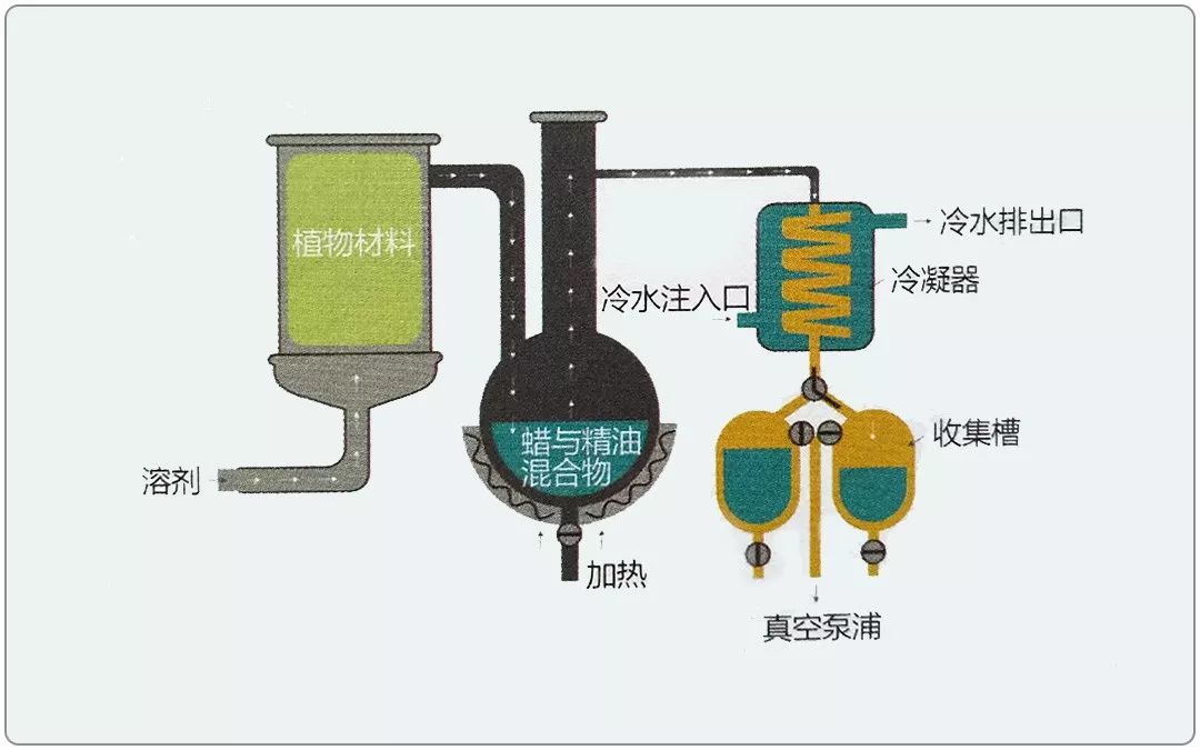 紫金古竹 芳言芳语 第19期 紫金古竹 微信公众号文章阅读 Wemp